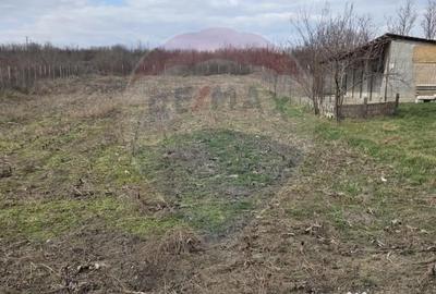 Casă cu 4 camere cu Teren 614 Mp în Stânca (Ștefănești) - 3