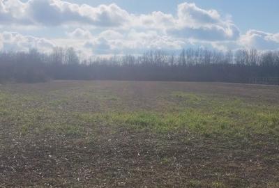 Spațiu comercial, în Poiana Lacului - 3