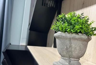 De închiriat Studio, Parter /terasă, Primăriei, Oradea. - 7