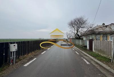 Teren de vanzare Filipesti Bacau 6838 mp - 12