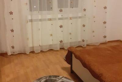 Apartament cu 2 camere decomandat în Craiovița Nouă - 4