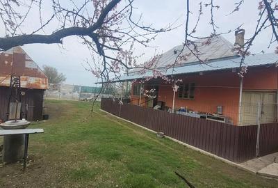 Casă cu 3 camere în Bulzești - 6