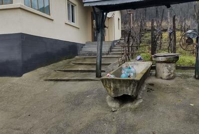 Casă în Filiași - 10