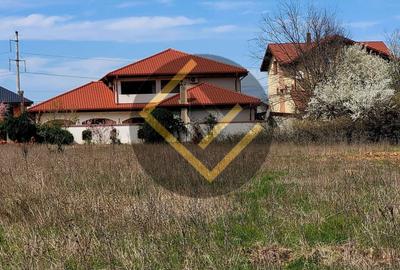Teren Construcții intravilan de 4900 mp, în Cernica - 1