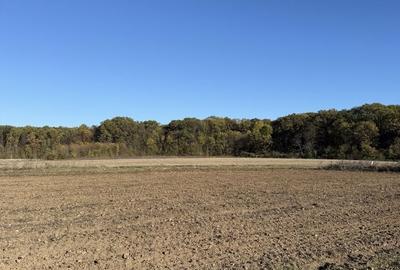 Spațiu comercial, în Ciolpani - 8