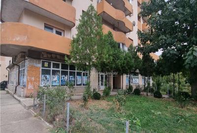 Spatii Comerciale Alexandria Str Dunarii - 3