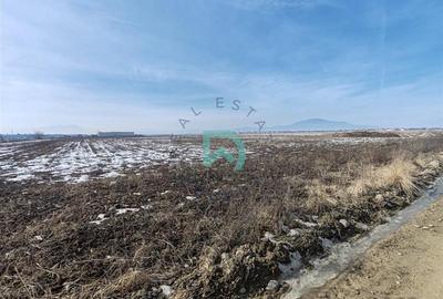 Vanzare teren intravila industrial, 10480 mp, centura Brasov - 5