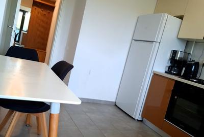 Apartament cu 3 camere decomandat, mobilat în Calea București - 22
