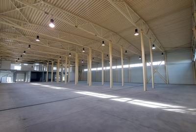 HALA DEPOZITARE CU ETAJ PARTIAL PENTRU BIROURI AMPLASAMENT: OTOPENI - 39