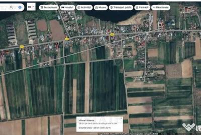Teren de 7436 mp, în Butimanu - 3