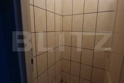 Garsonieră, mobilată în Valea Rosie - 2