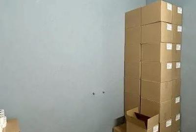 Apartament de vanzare 2 camere + terasa 123 mp Timisoara - 1