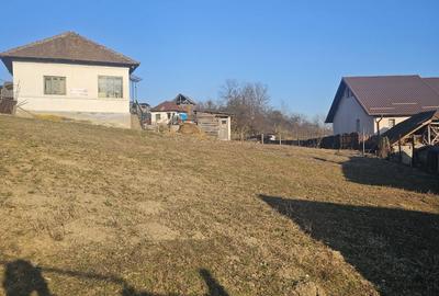 Spațiu comercial, în Central - 6