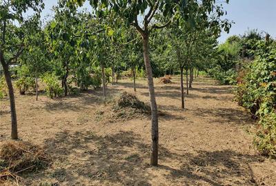 Casă cu 3 camere în Lugoj - 5