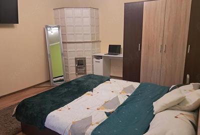 Casă cu Teren 2049 Mp în Bazoș - 14