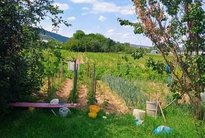 Casa Jibou, jud. Salaj - 9