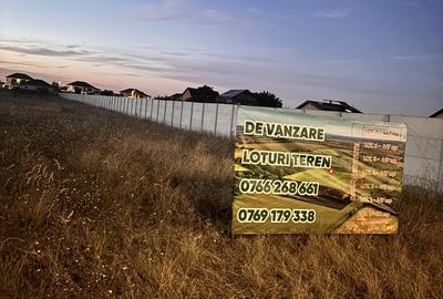 Domnesti- Ilfov, Str Teiului Teren - 5