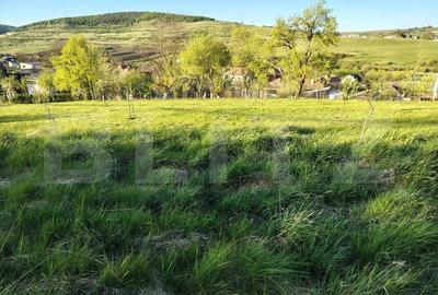 Casă individuală cu 4 camere cu Garaj în Vâlcele - 20