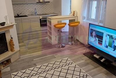 Casa singur curte langa parcul Herastrau | Aviatorilor - 7