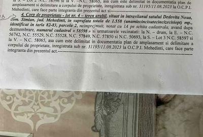 Spațiu comercial, în Șimian - 3