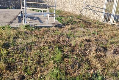 Spațiu comercial, în Florilor - 1