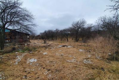 Casă în Ceanu Mic - 2