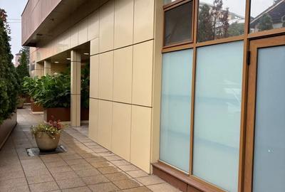 Spatiu comercial premium de inchiriat - 7