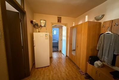 Apartament 2 camere decomandat, 57 mp, Lapus Arges, Zona Metal Lemn - 10