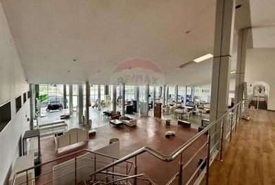 Hala/Showroom 1400mp Calea Moldovei - 7
