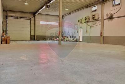 Hala de închiriat cu birouri în zona Micalaca - 3