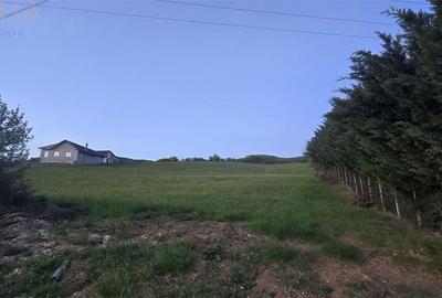 Teren de 5000 mp, în Șieu - 4