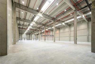 Depozit/hala/spatiu industrial Ciorogarla - A1 - KM13, Ilfo - 2