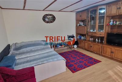 Casă cu 2 camere cu Teren 437 Mp în Ighiu - 10