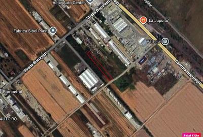 Vanzare teren Magurele - Varteju - Centura, ILFOV - 2