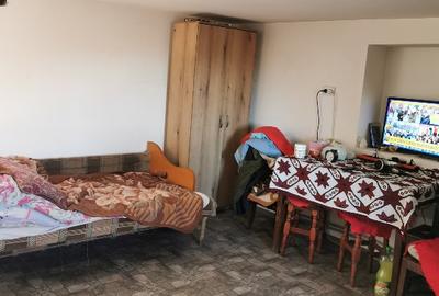 Casă individuală cu 3 camere cu Teren 4482 Mp în Hobița-Grădiște - 8