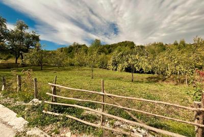 Teren Construcții intravilan de 5600 mp, în Runcu - 5