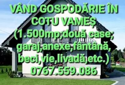 Casă cu 6 camere cu Teren 1500 Mp în Central