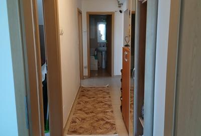 Apartament cu 2 camere decomandat în Valea Lupului - 9
