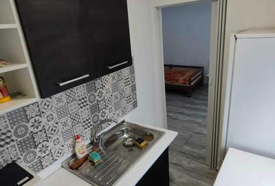 Garsonieră decomandată în Dumbrăvița - 10