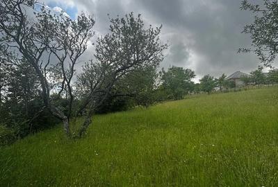 Teren de 30 mp, în Preluca Veche - 2