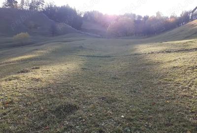 Teren de 13700 mp, în Nereju - 6