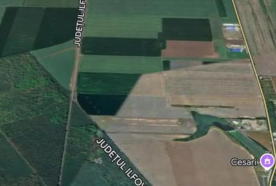 Teren de 15500 mp, în Belciugatele - 4