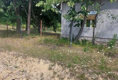 Casă cu 4 camere în Susani