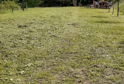 Teren de 5100 mp, în Viștea - 1