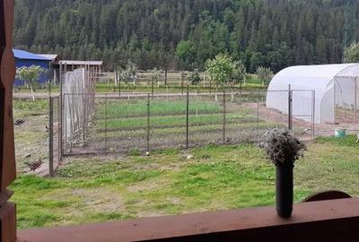 Casă cu 4 camere cu Teren 1000 Mp în Central - 11