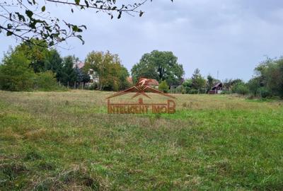 Teren Construcții intravilan de 4600 mp, în Porumbacu de Sus - 1