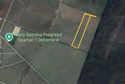 Teren de 20000 mp, în 1 Decembrie - 2