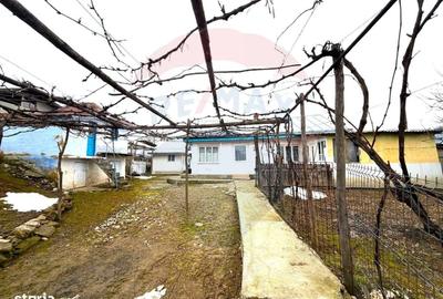 Casă cu 3 camere în Lespezi - 7