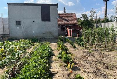Casă cu 2 camere cu Teren 355 Mp în Micălaca - 4