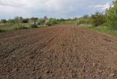 Teren extravilan de 20000 mp, în Șimnicu de Sus - 1